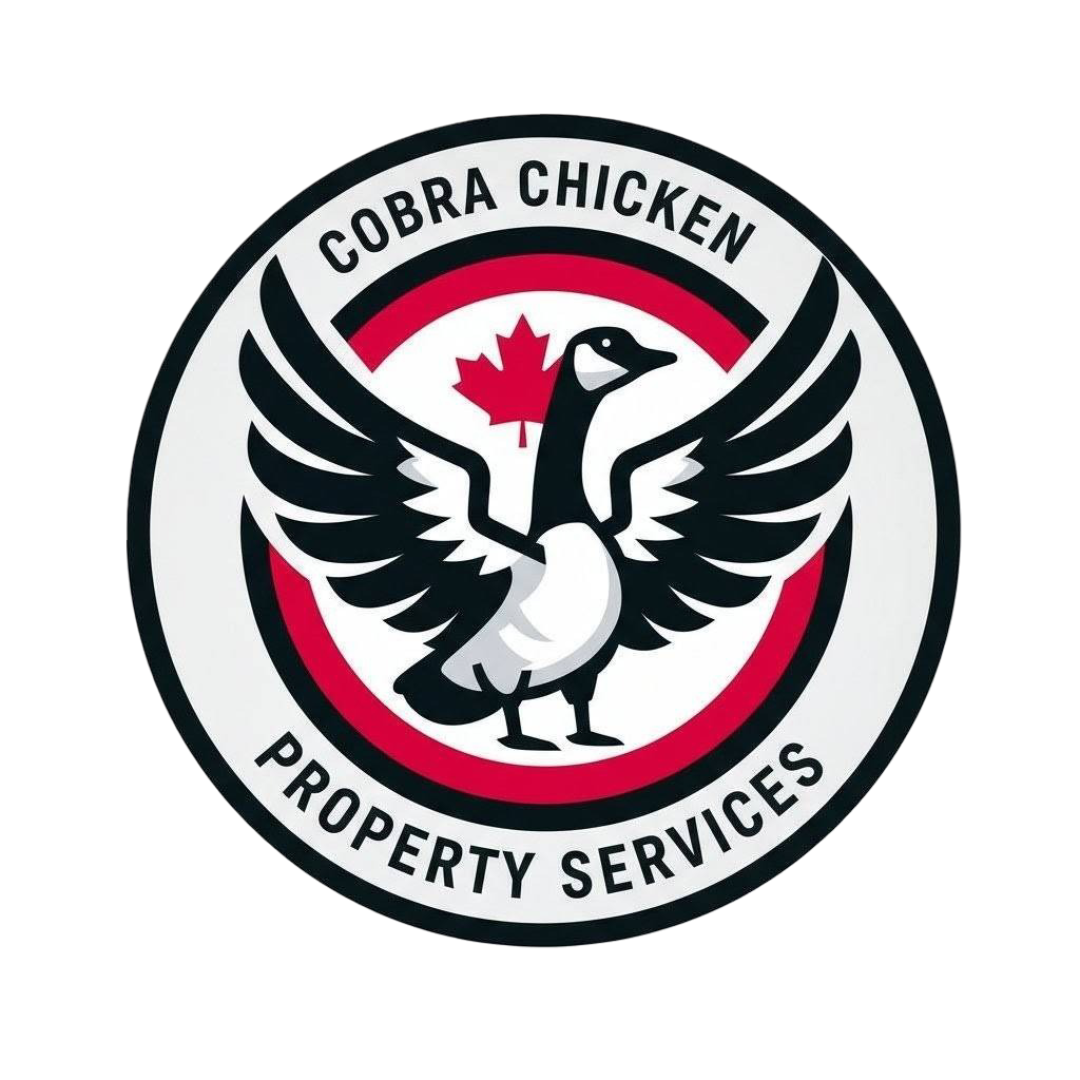 cobrachickenservices.ca